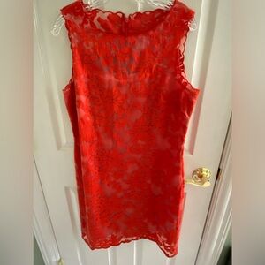 Gianni Bini coral dress, 12
